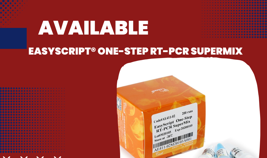 EasyScript® One-Step RT-PCR SuperMix